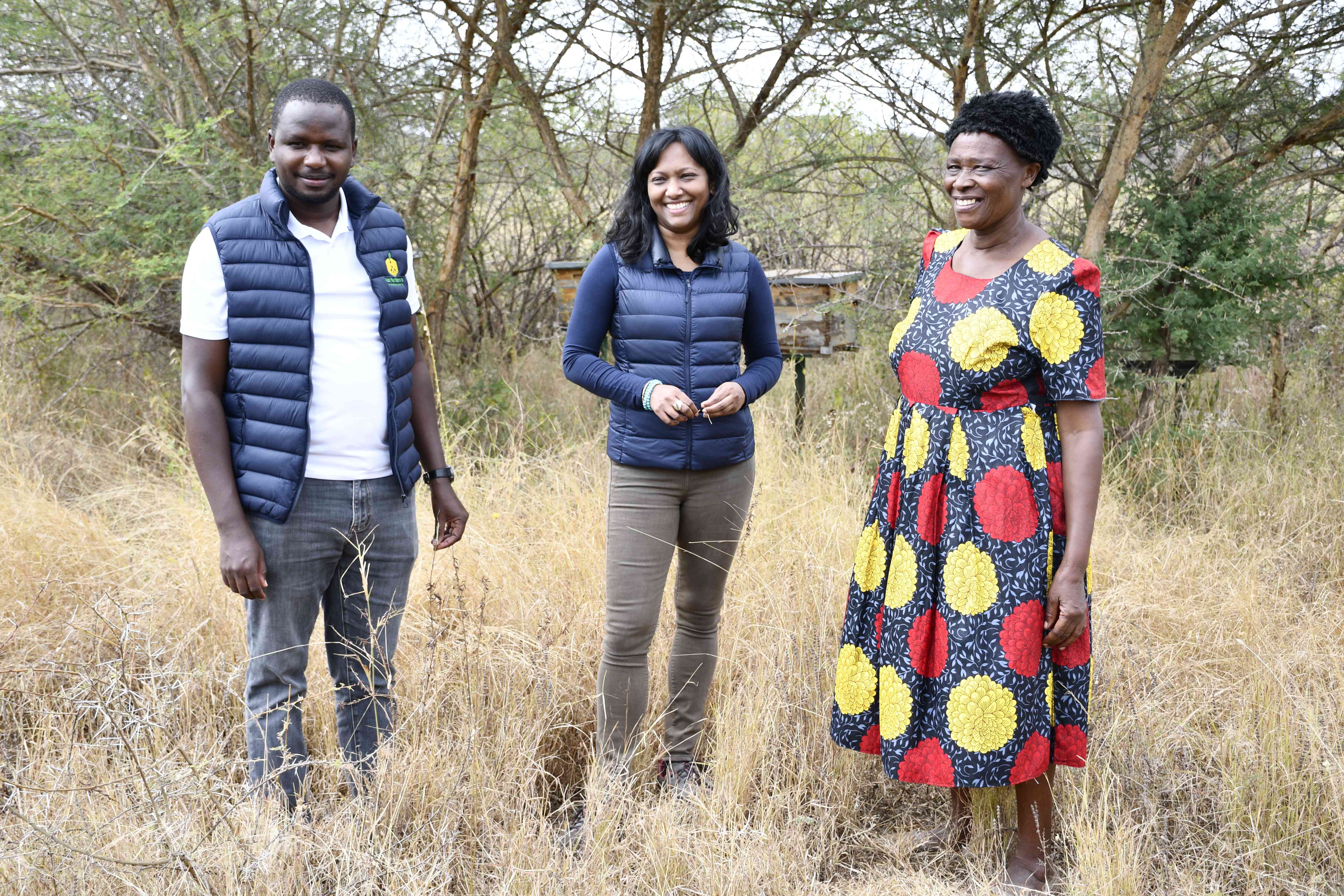 Sweet revolution: Beekeepers change tack for better harvest