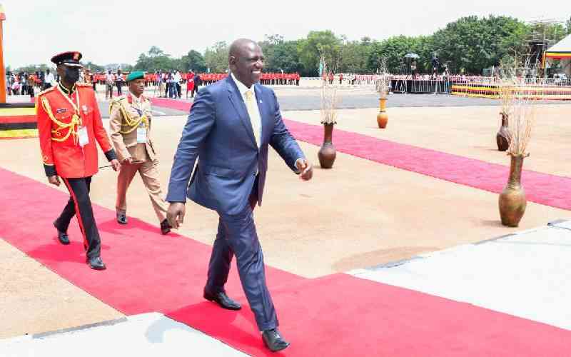 William Ruto's plans on climate change look impressive