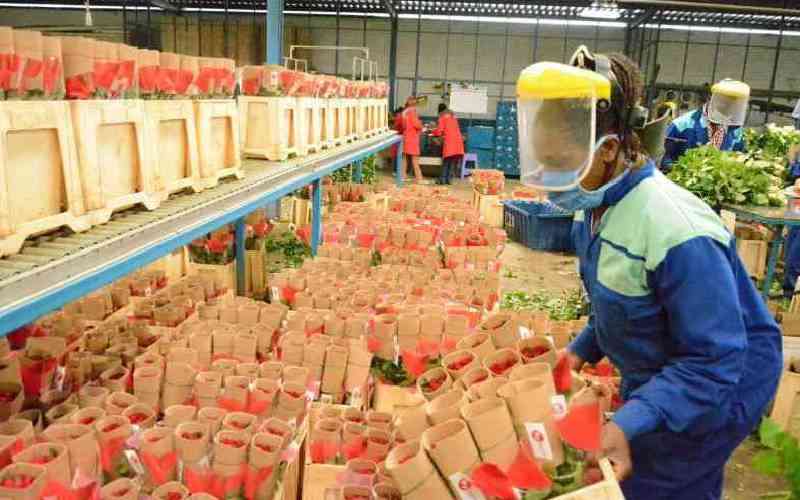 Kenya's horticulture exporters turn to new markets as EU tighten rules