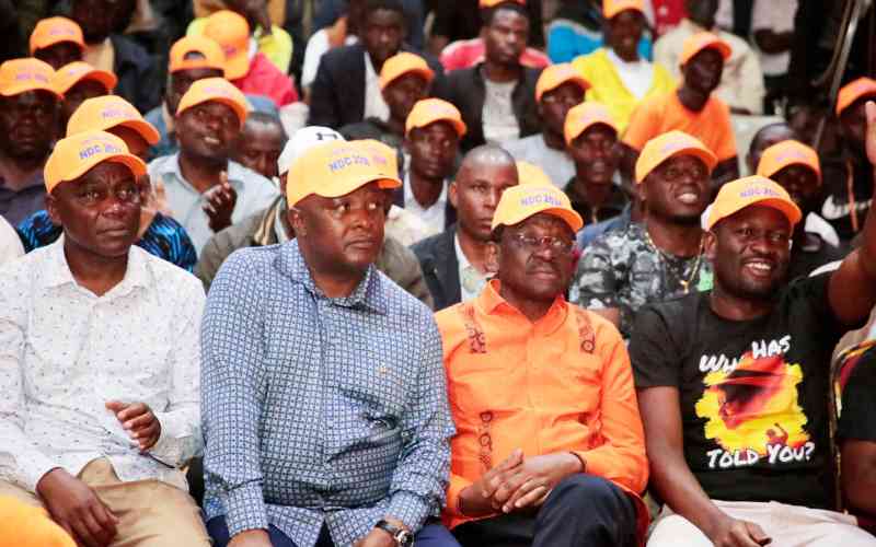 Cracks in Linda Mwananchi over opposition alliance ahead of 2027