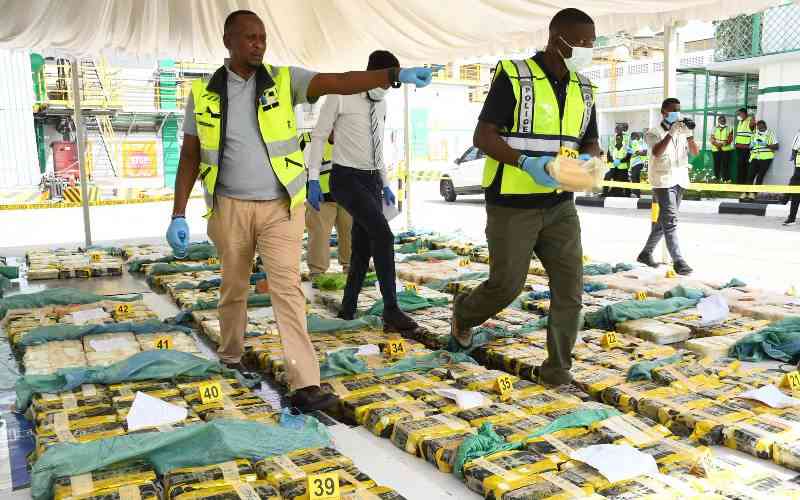 Whose drugs? Burning questions as Murkomen leads Sh8.2b drug haul destruction