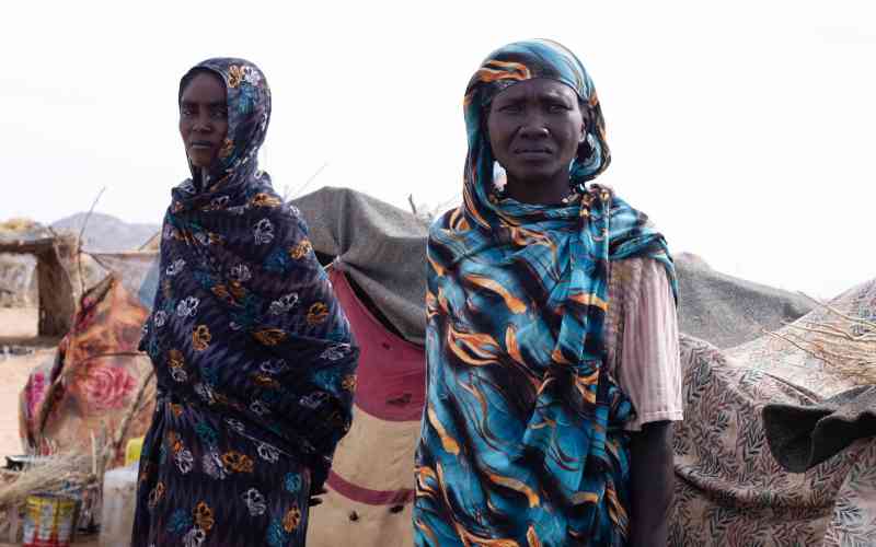 'No one could stop it': Sudanese describe mass rapes while fleeing El-Fasher