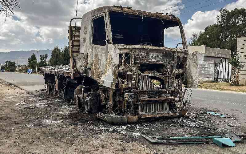 Drone strikes in Ethiopia kill at least 25: witnesses