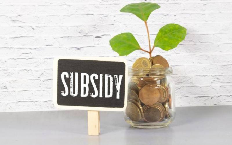 Subsidies: Idealism versus pragmatism