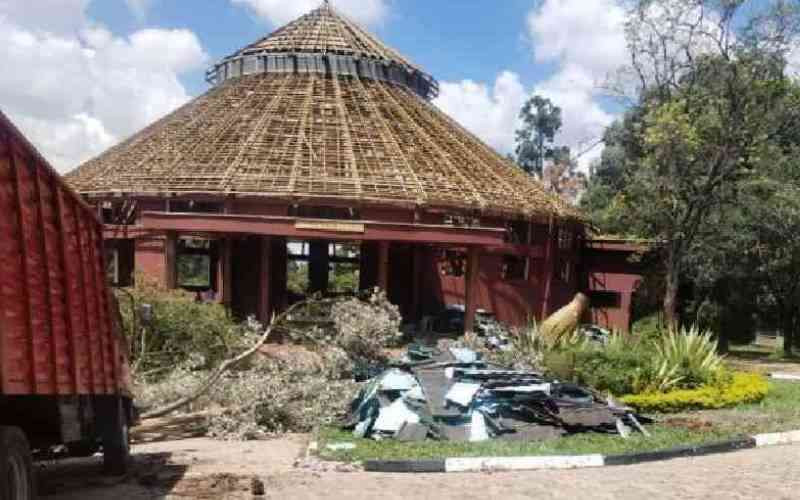 Lobby tells court rhinos, birds at risk over Sh41bn Bomas project