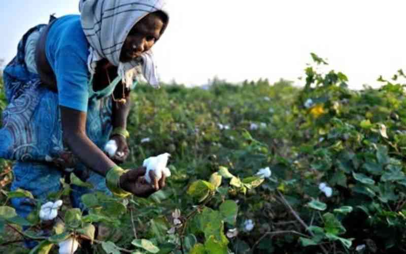Slaves of God: Why suffering continues despite Nigeria's Osu slavery halt
