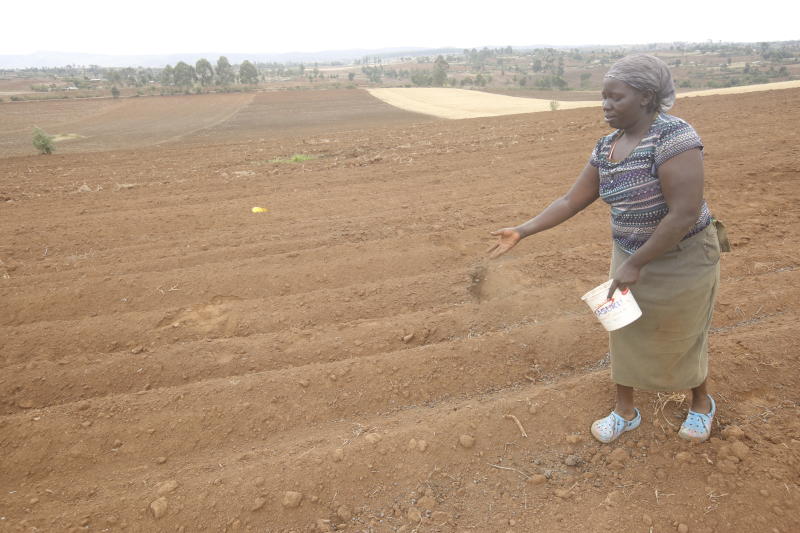 Large-scale farmers ask for more as subsidised fertiliser falls short