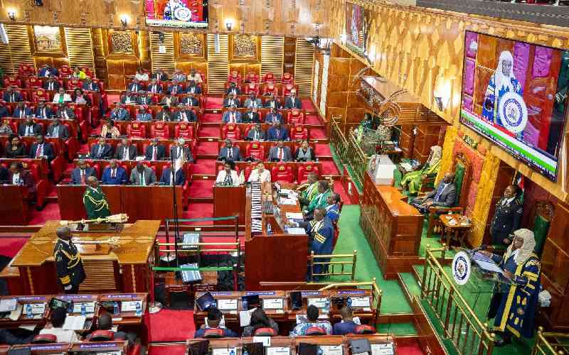 Ruto's speech ignored key education issues, experts say