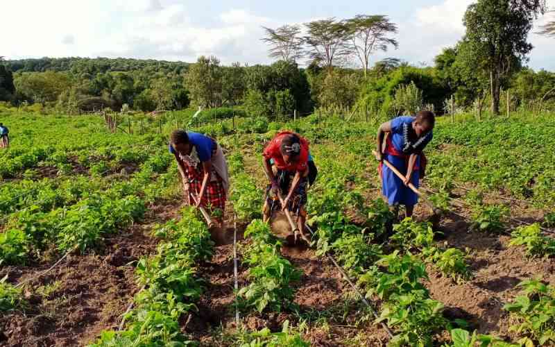 Effect of drought in ASAL Kenya and the suitable adaptation measures