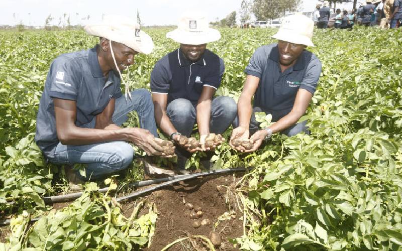 Agrico, firm in deal to boost potato farmers