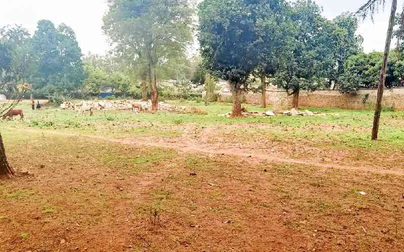 EACC recovers Sh65m grabbed government housing land in Kitale