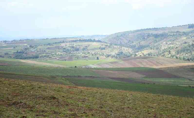 Find a way of taming Kenyans' insatiable greed for land