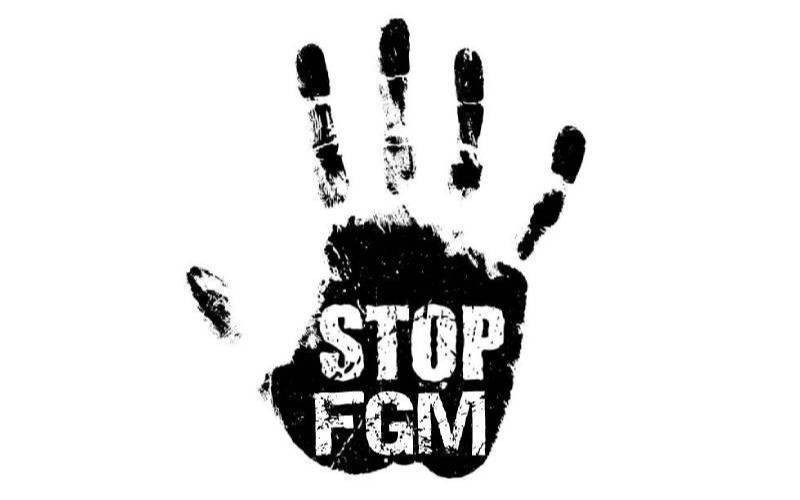 Sh13b fight: The renewed push to end FGM