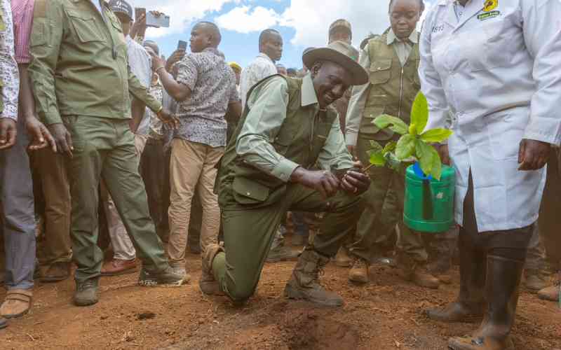 Mazingira Day: Kenya sets sights on 17.2 million trees