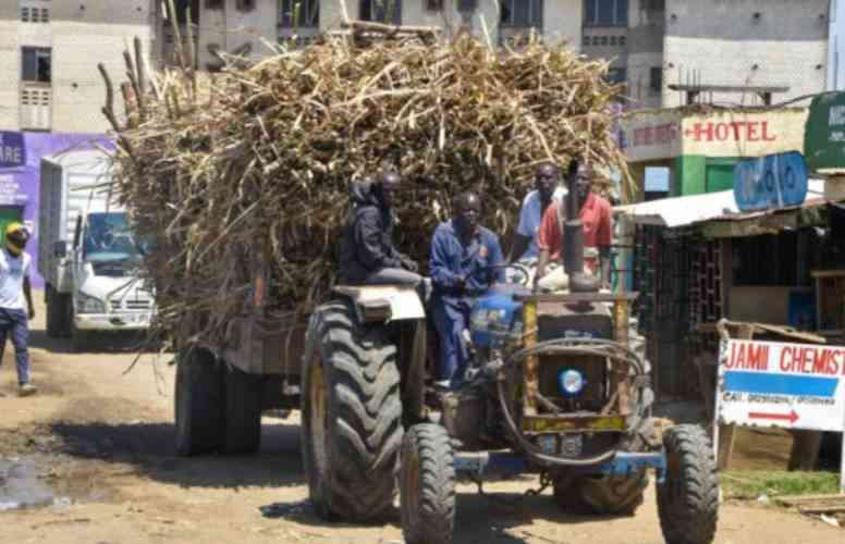 Cane farmers back sugar mill leasing as Kisumu leaders oppose plan