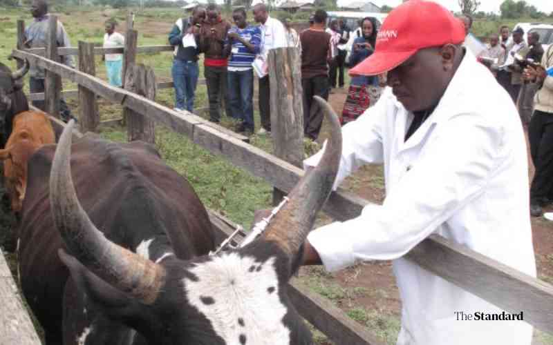 Vets alarmed by rising number of quacks in livestock sector