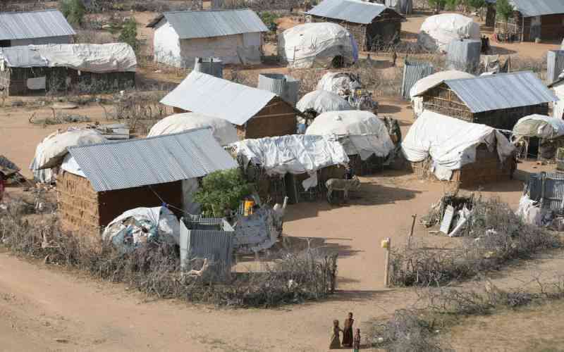 State does not have accurate data on refugees in Kenya