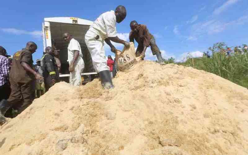Nema blames KRA for disappearance of condemned sugar