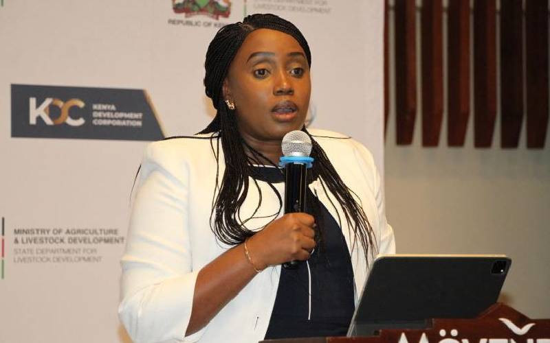 KDC roots for creative economy, innovation and youth-led enterprise growth