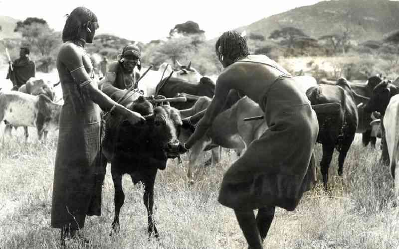 When a bribe threatened to tear the Maasai apart