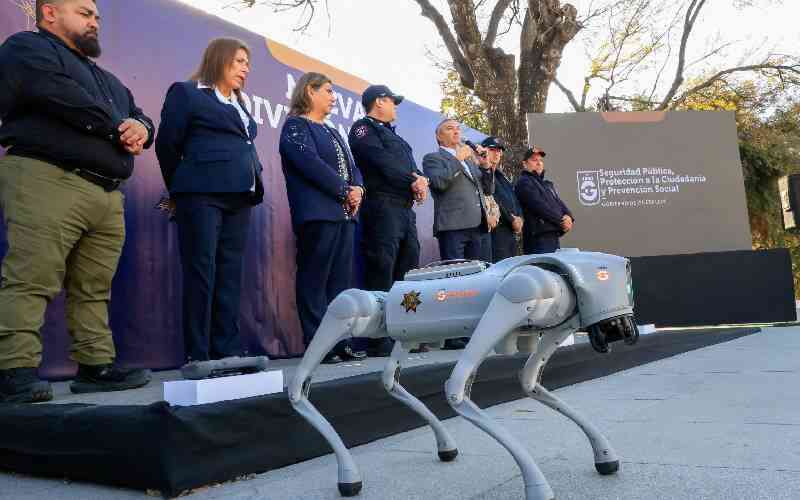 Robot dogs to help Mexican police at 2026 World Cup