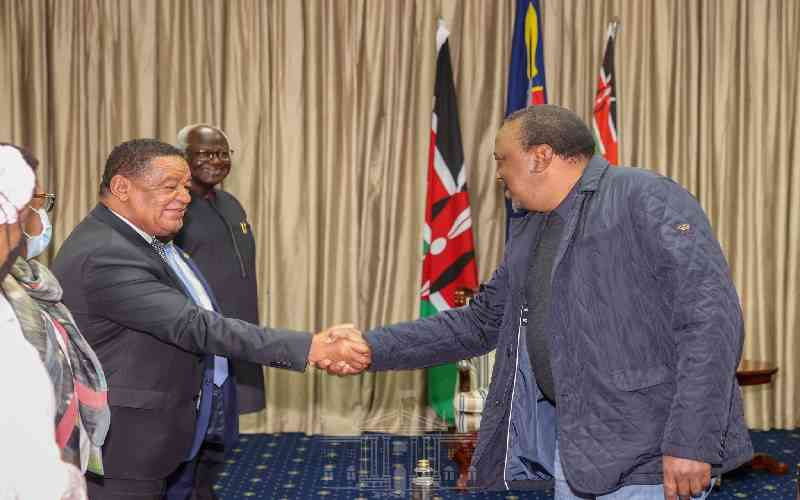 President Kenyatta Meets Election Observers