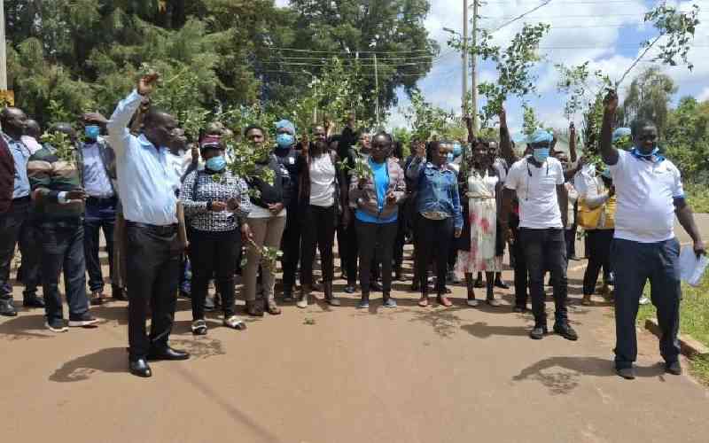 Nurses in Trans Nzoia down tools after talks collapse