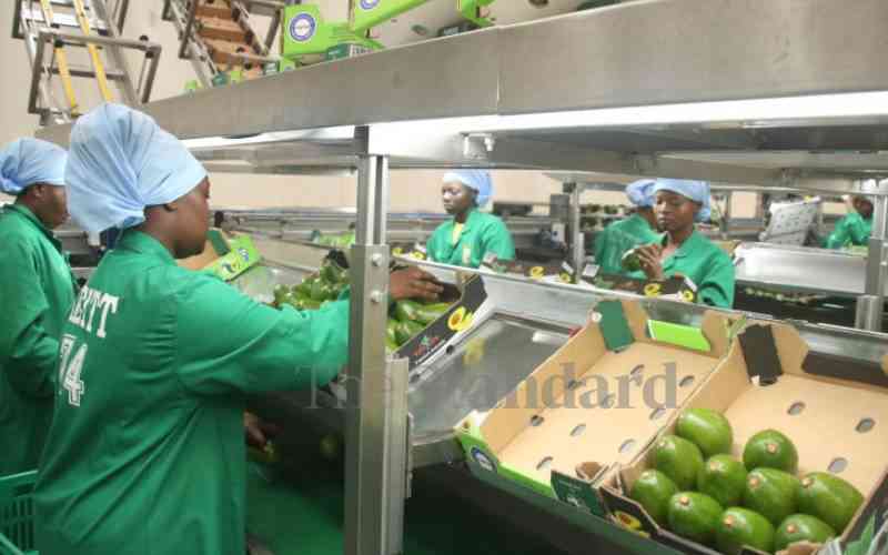 Kenyan exports rise by Sh100b amid bumpy economic recovery