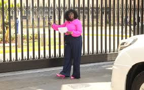 Orwoba freed hours after arrest at Parliament gate