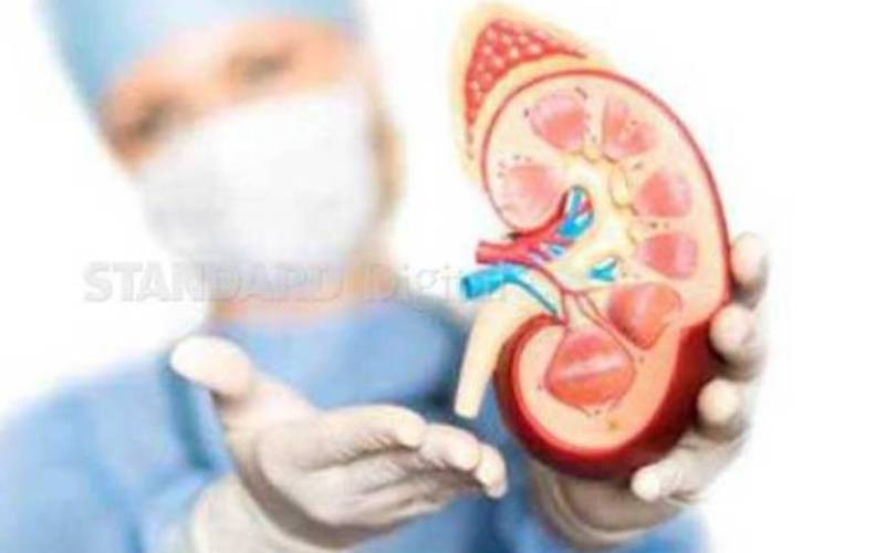 Foods that Increase the Risk of Kidney Failure