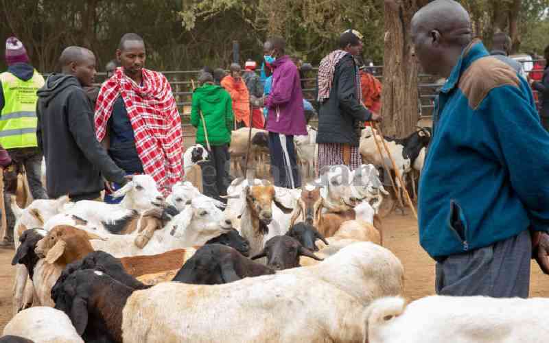 Tough life for farmers as proposed Bills spark fears of high food costs