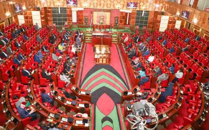 Kenyan diaspora deserve seats in our National Assembly