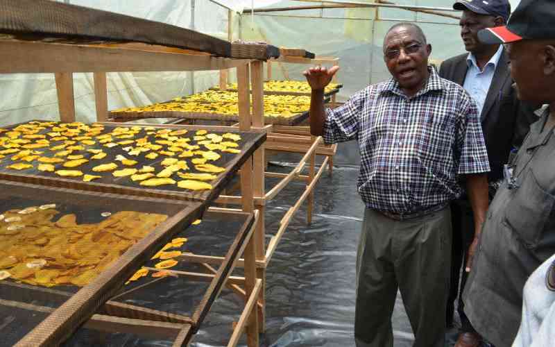 Muranga County offers subsidies for produce to boost farmers