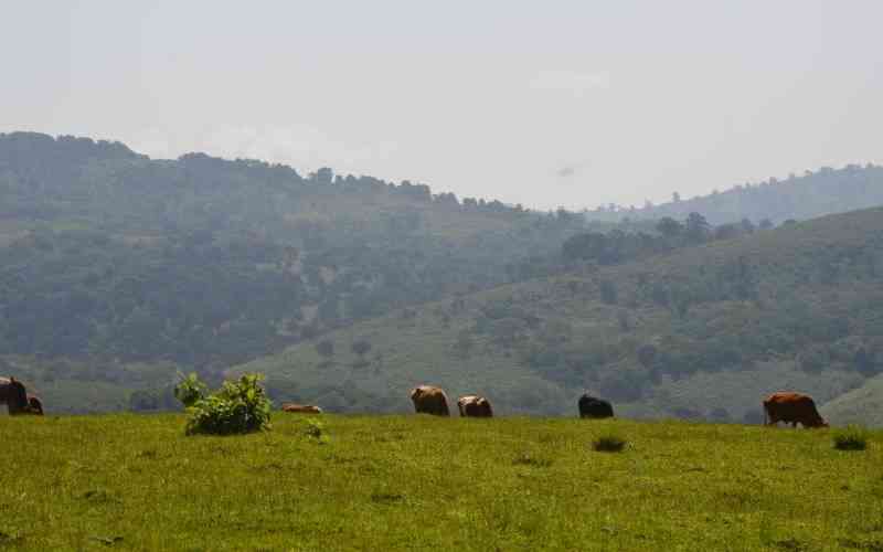 Incentivising Transboundary Conservation in Mt.Elgon