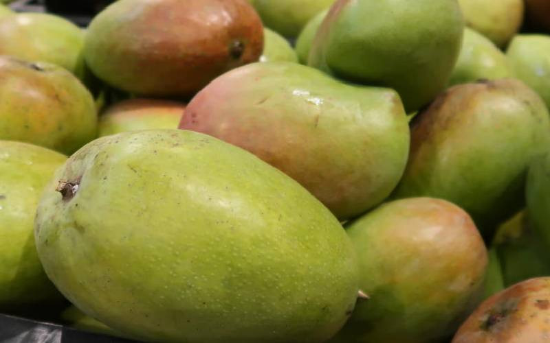 Boost for farmers as state seeks to expand mango processing plant