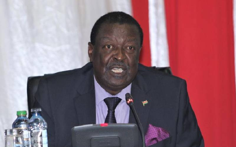 Mudavadi: Government to audit state funded projects