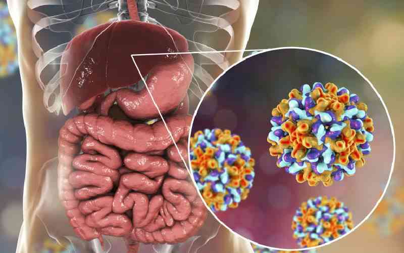 Hepatitis B: Silent virus that ravages the liver