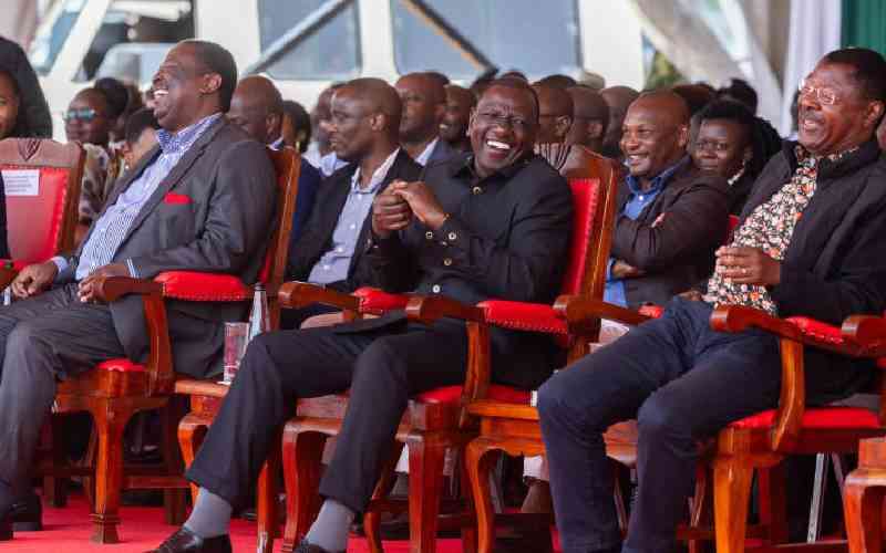 Political parties fund: UDA gets lion share as Ruto allies win big
