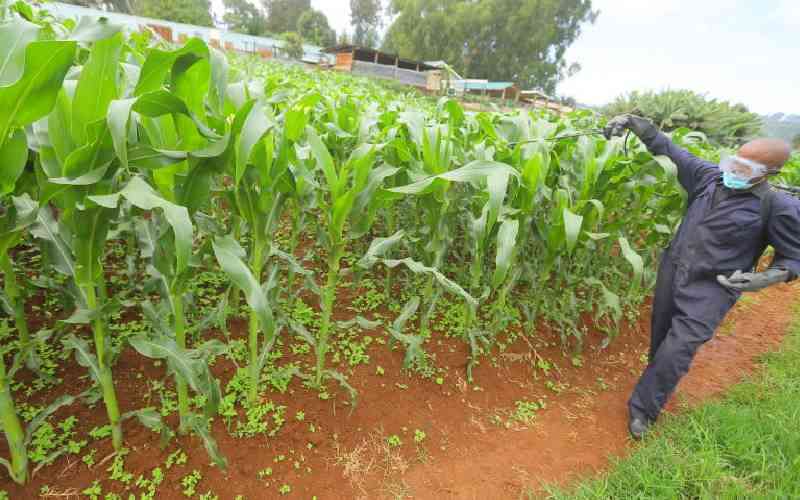 Kenya's population bulging but little land for farming - report