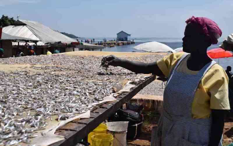 Africa's food future does not depend on land alone but also on its waters