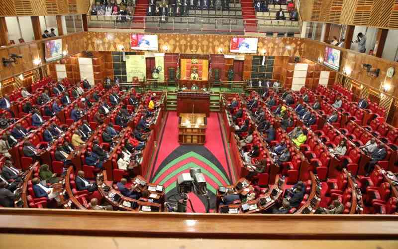People's watchdog? No, Parliament is Kenya's biggest problem