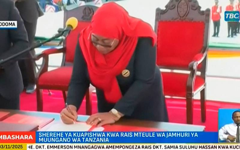 Regional observers now dismiss Tanzania polls in unflattering accounts