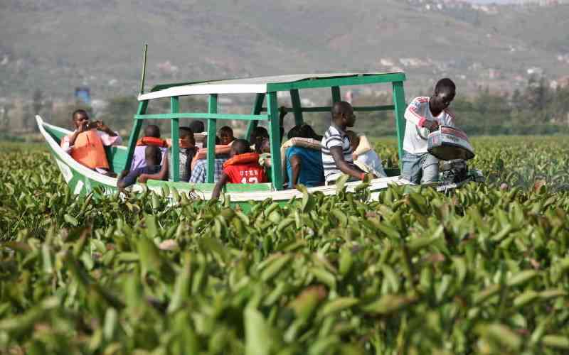Residents forced to put up with foul smell from Lake Victoria