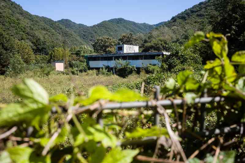 'Sold for dollars': South Korean women sue US military over decades-old abuse