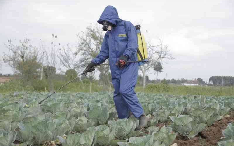 Farmers warned over rising threat of counterfeit pesticides