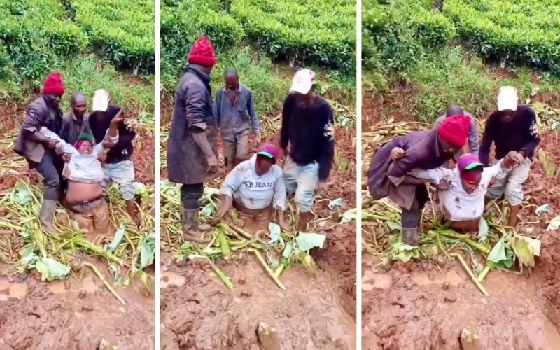 VIDEO: Gatundu woman rescued after sinking waist-deep in arrowroot farm mud