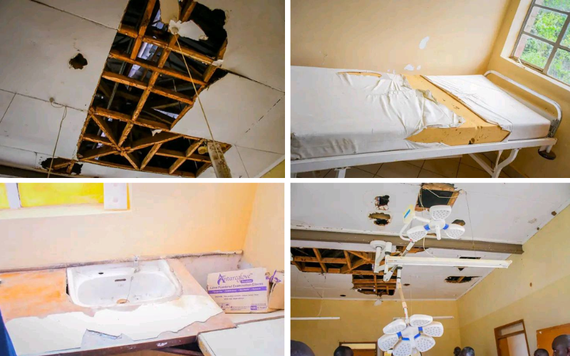 VIDEO: Senators shocked by reports of snakes falling from Baringo hospital roof