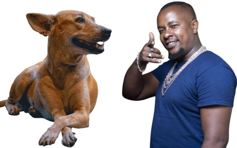 Man dies after a stray dog bite in Ruai, Nairobi