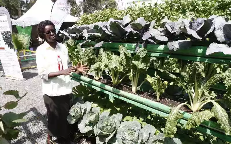 Ecobank, AGRA partner to boost agricultural financing