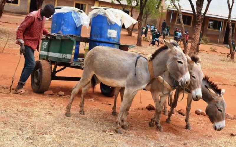 Fuel prices: Nyeri residents turn to donkeys to cut transport cost